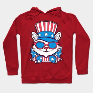 Adorable Cat with Patriotic Style Hoodie